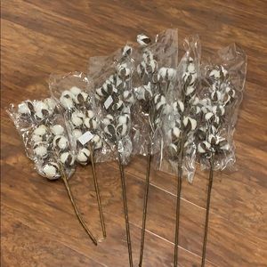 Cotton Stems- Decorative